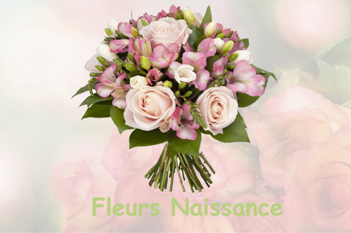 fleurs naissance FENOUILLET-DU-RAZES