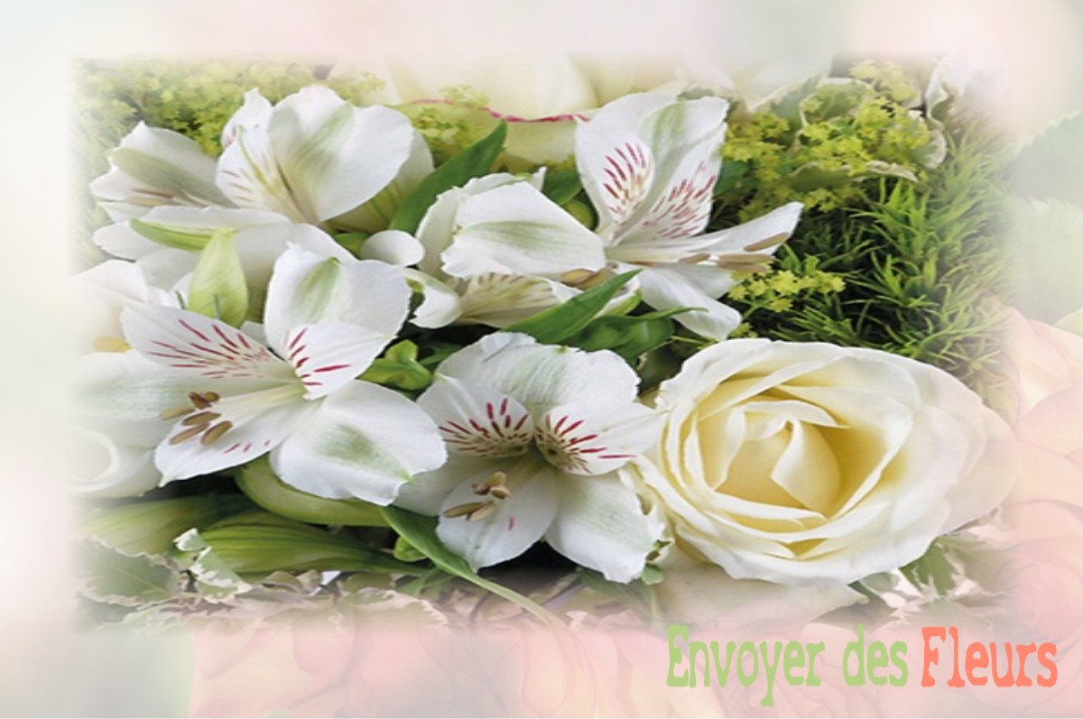 envoyer des fleurs à à FENOUILLET-DU-RAZES