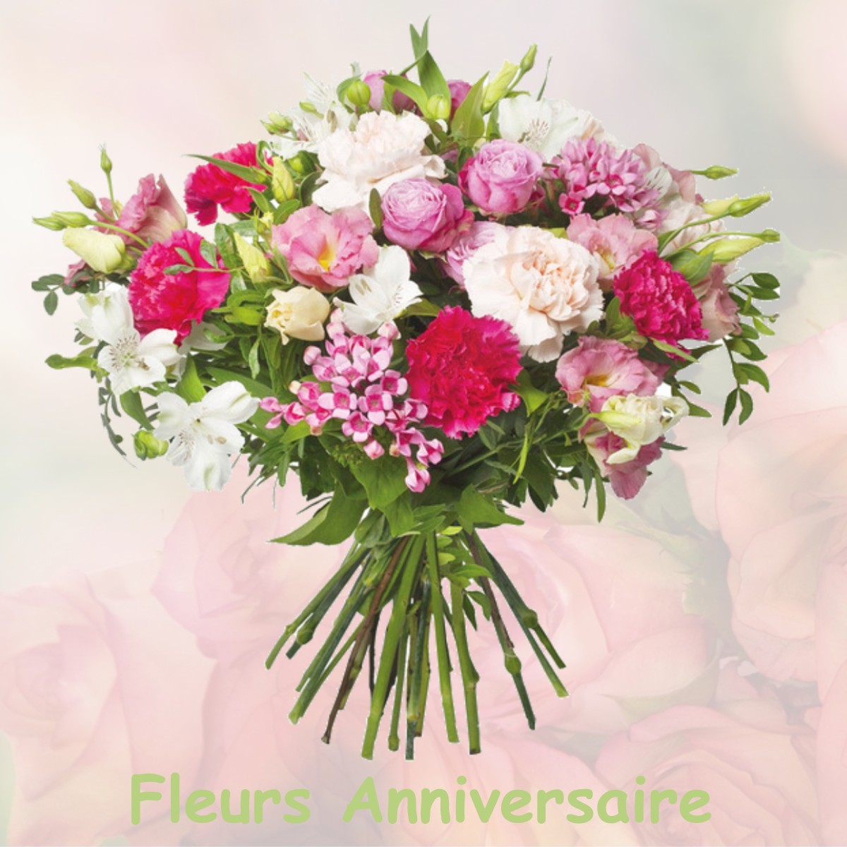 fleurs anniversaire FENOUILLET-DU-RAZES